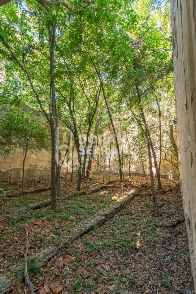 CAMPO AGRICOLA + ANTIGUA ESTACION OROÑO- GESSLER!