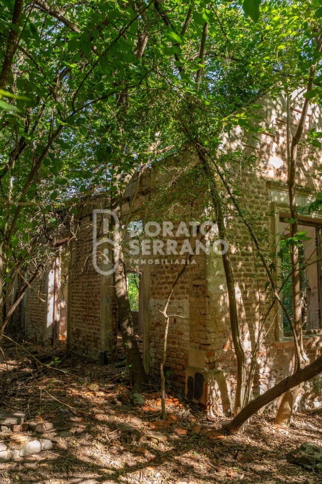 CAMPO AGRICOLA + ANTIGUA ESTACION OROÑO- GESSLER!