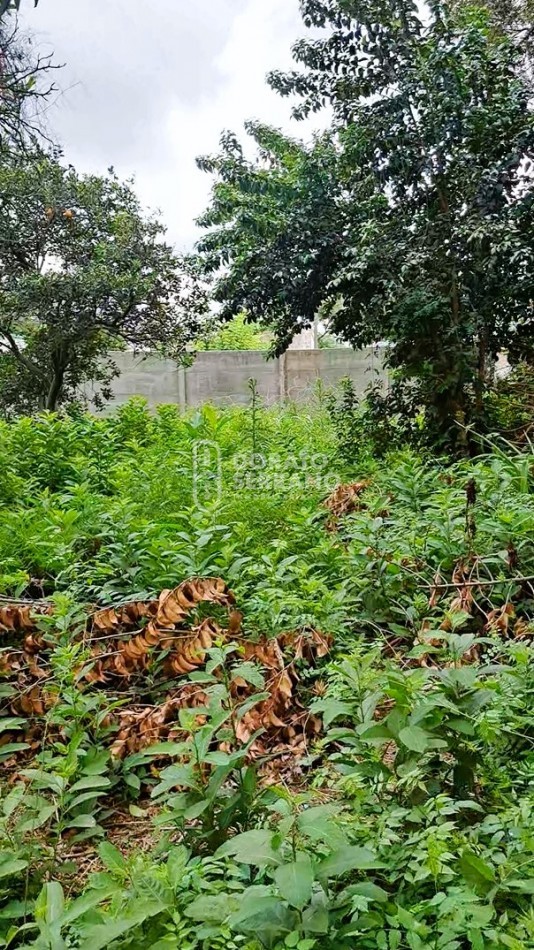 GRAN SUPERFICIE - TODOS LOS SERVICIOS.