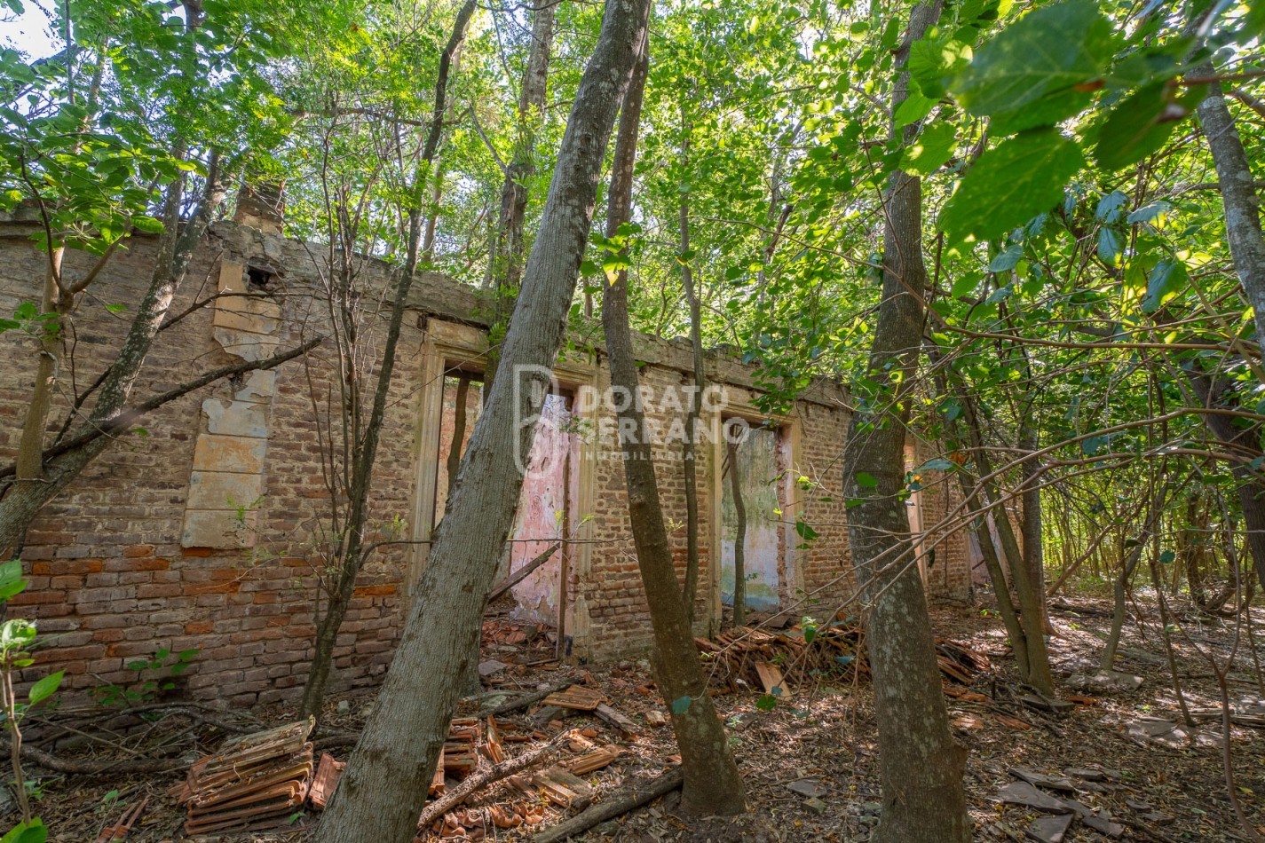 CAMPO AGRICOLA + ANTIGUA ESTACION OROÑO- GESSLER!