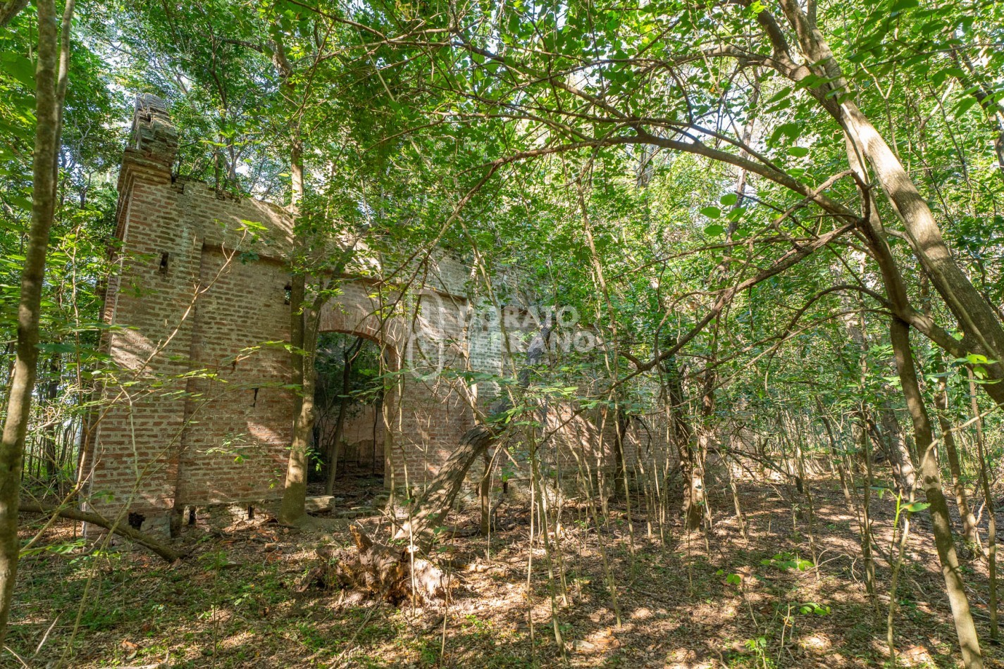 CAMPO AGRICOLA + ANTIGUA ESTACION OROÑO- GESSLER!