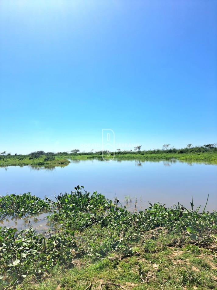 GUARDERIA NAUTICA! GRAN RENTABILIDAD + GRANDES LOTES + BUENAS INSTALACIONES! 