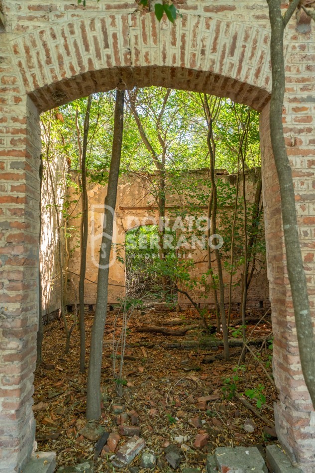 CAMPO AGRICOLA + ANTIGUA ESTACION OROÑO- GESSLER!