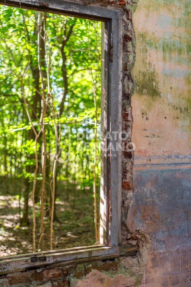 CAMPO AGRICOLA + ANTIGUA ESTACION OROÑO- GESSLER!