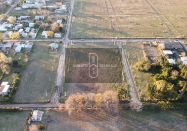 LOTEO FLOR DE LIS - EL FUTURO ES HOY! 