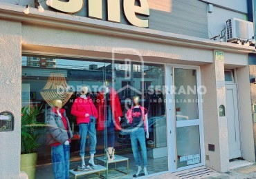 LOCAL FRENTISTA + LOTE Y CONSTRUCCION INTERNOS / AREA CENTRAL.  