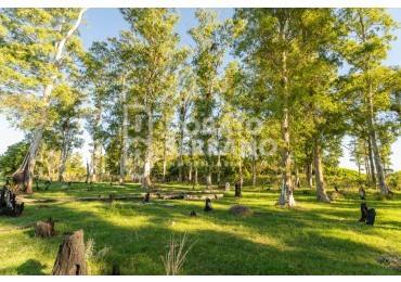 CAMPO AGRICOLA + ANTIGUA ESTACION OROÑO- GESSLER!